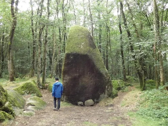 Διαμέρισμα Au Calme Face A La Vallee 6 A 10 Places 3 Nuits Minimum Tredaniel